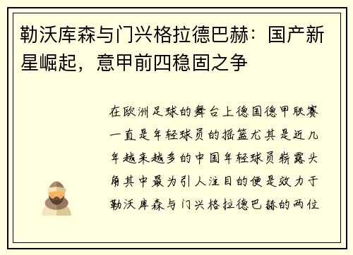 勒沃库森与门兴格拉德巴赫：国产新星崛起，意甲前四稳固之争